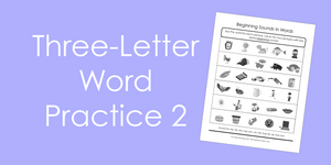 Three Letter Word Practice 2